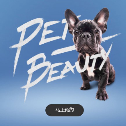 德惠宠物中心小程序开发